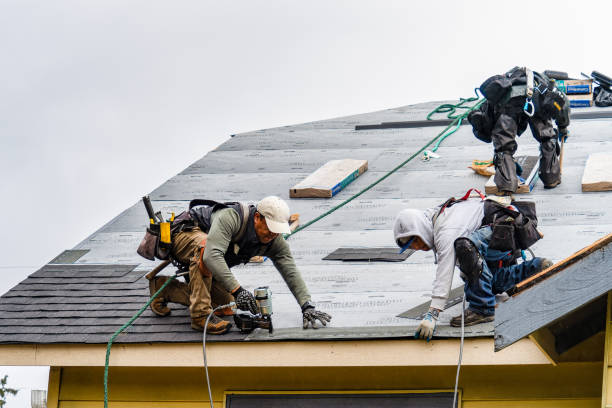 Professional Roofing technician working in Laura, OH